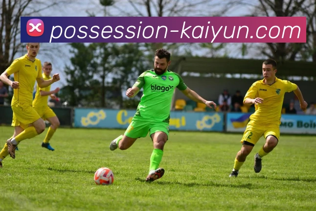 开云app服务体系